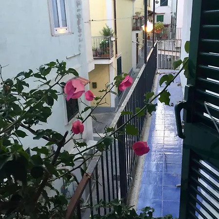 Гостевой дом La Bouganville