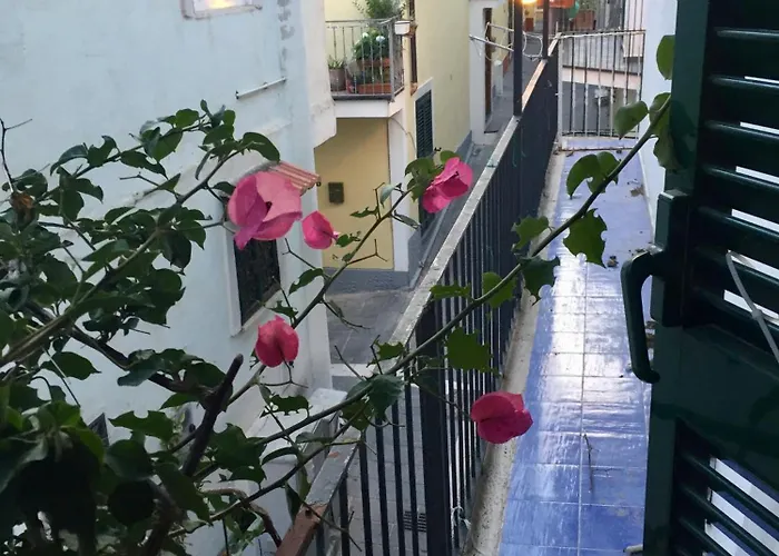 Гостевой дом La Bouganville